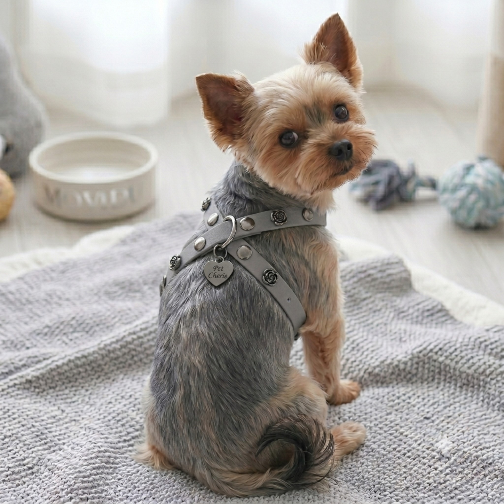 Pettorina Artigianale Rose Harness – In Biothane®